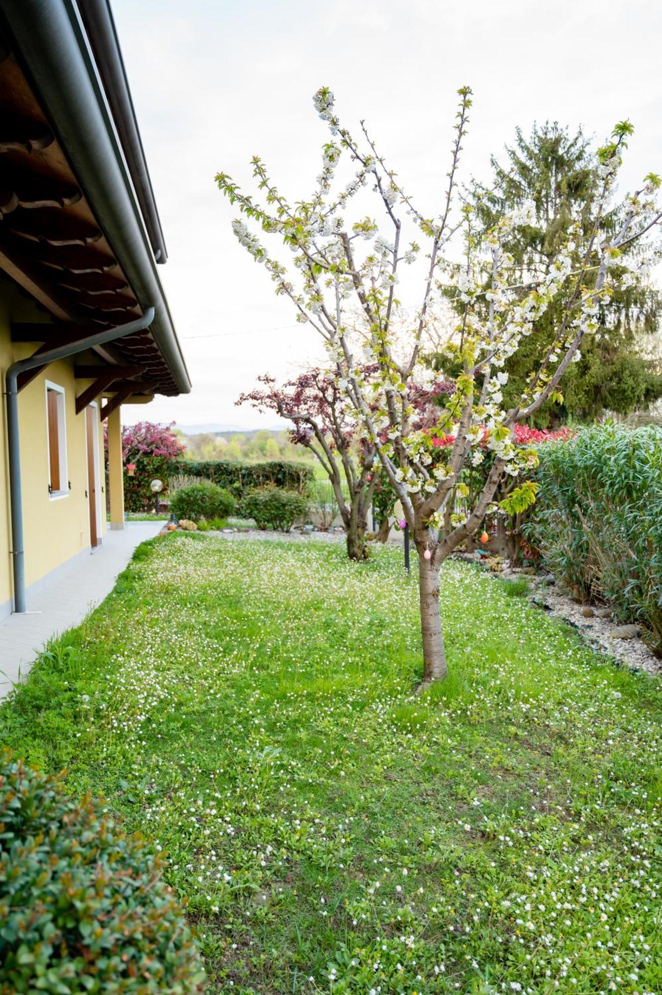 Residence Stradella Verde Staranzano Bagian luar foto