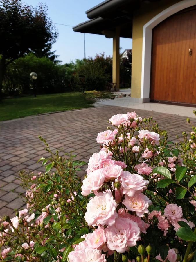 Residence Stradella Verde Staranzano Bagian luar foto